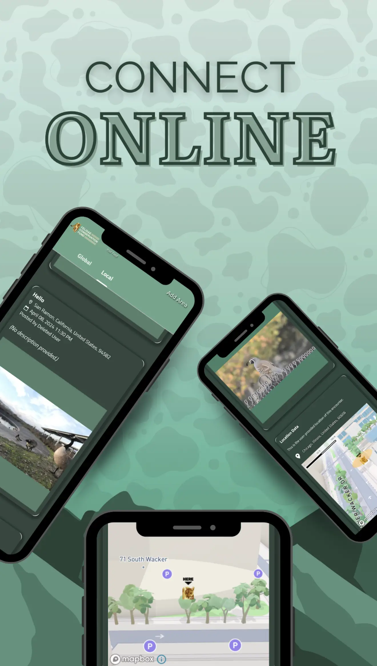 Feature 2